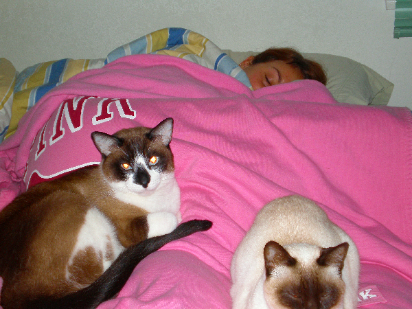 2009_04_24SICK&CATS